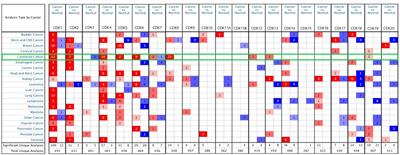 Comprehensive Analysis of Role of Cyclin-Dependent Kinases Family Members in Colorectal Cancer